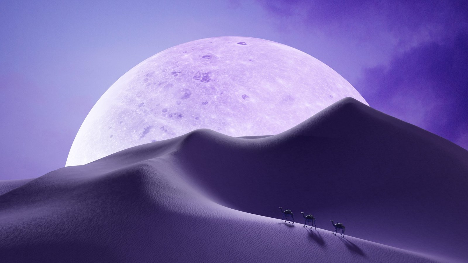 أهلاً بالعالم !